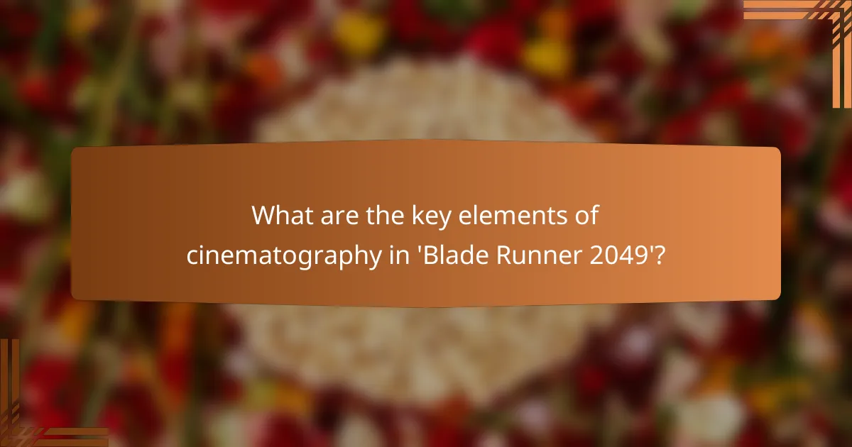 What are the key elements of cinematography in 'Blade Runner 2049'?