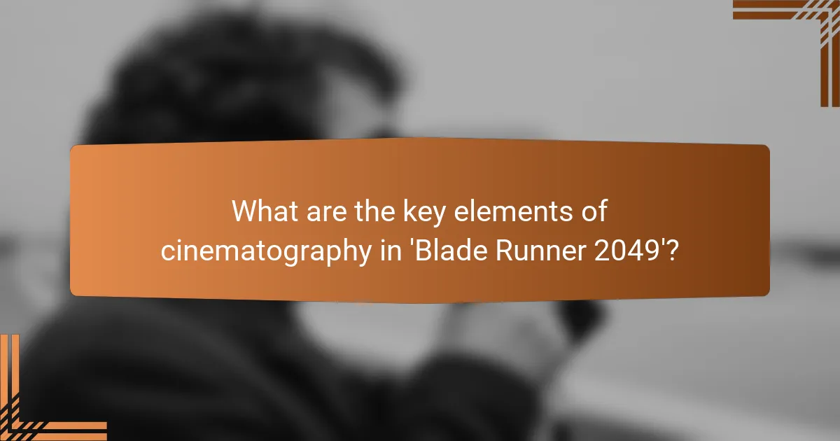 What are the key elements of cinematography in 'Blade Runner 2049'?