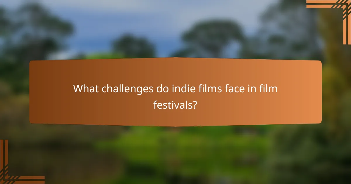 What challenges do indie films face in film festivals?